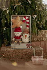 Weihnachtsanhänger Set Jim GRS