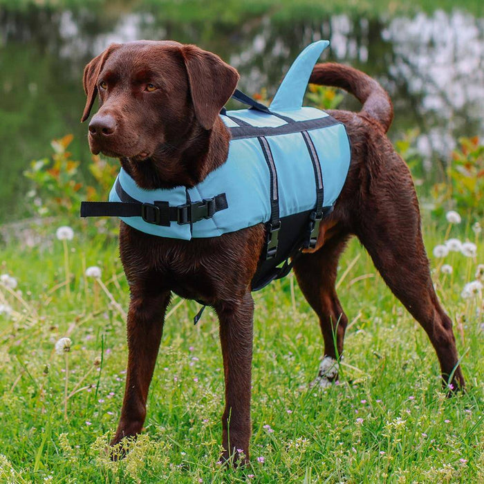 Hunde Schwimmhilfe "Sharki" hellblau Größe: L - 40 cm | Nobby