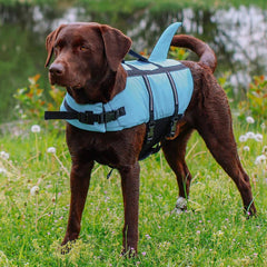 Hunde Schwimmhilfe "Sharki" hellblau Größe: L - 40 cm | Nobby