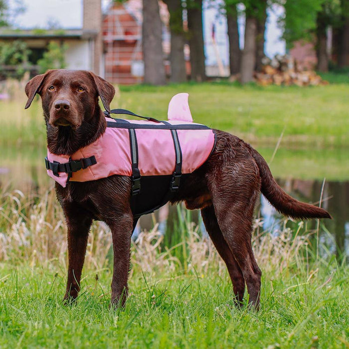 Hunde Schwimmhilfe "Sharki" pink Größe: L - 40 cm | Nobby