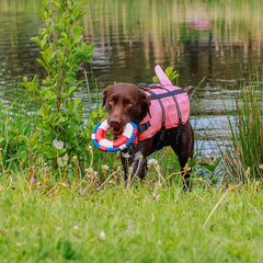 Hunde Schwimmhilfe "Sharki" pink Größe: L - 40 cm | Nobby