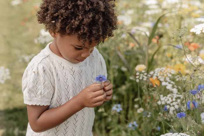 Little Dutch Kurzarm-Strickpullover Creme – Detailansicht des Produkts