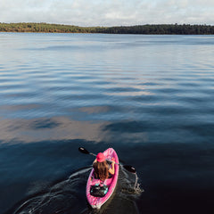 Standard Paddle 226cm